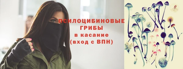 прущая мука Богданович
