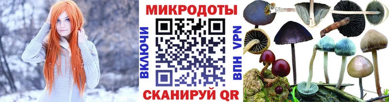 Псилоцибиновые грибы MAGIC MUSHROOMS  мориарти какой сайт  Облучье  даркнет сайт 